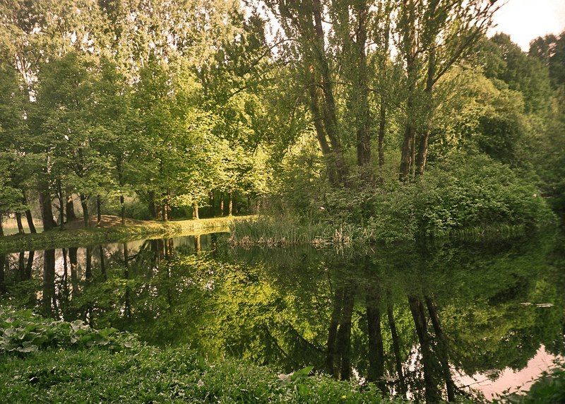 В старинном парке тихий пруд... фото превью