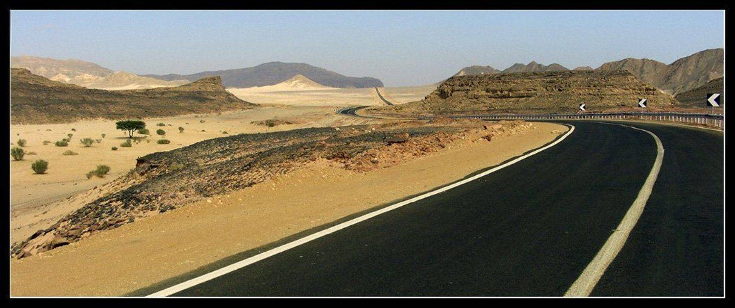 , Лунный Ежик