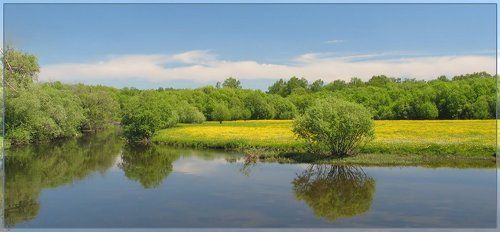 Краски лета