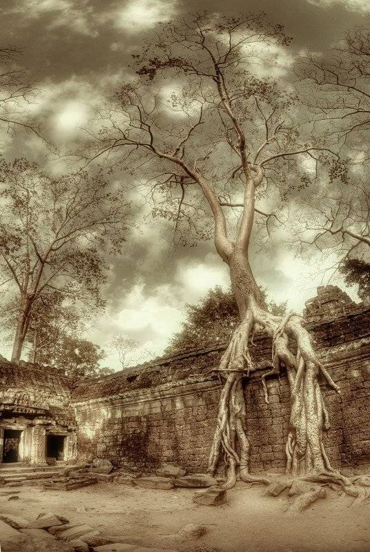 ангкор, fotomafia