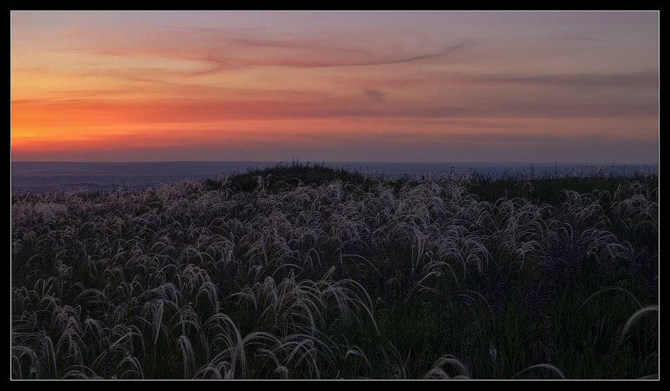 Закат, ковыль, Самолинов Андрей