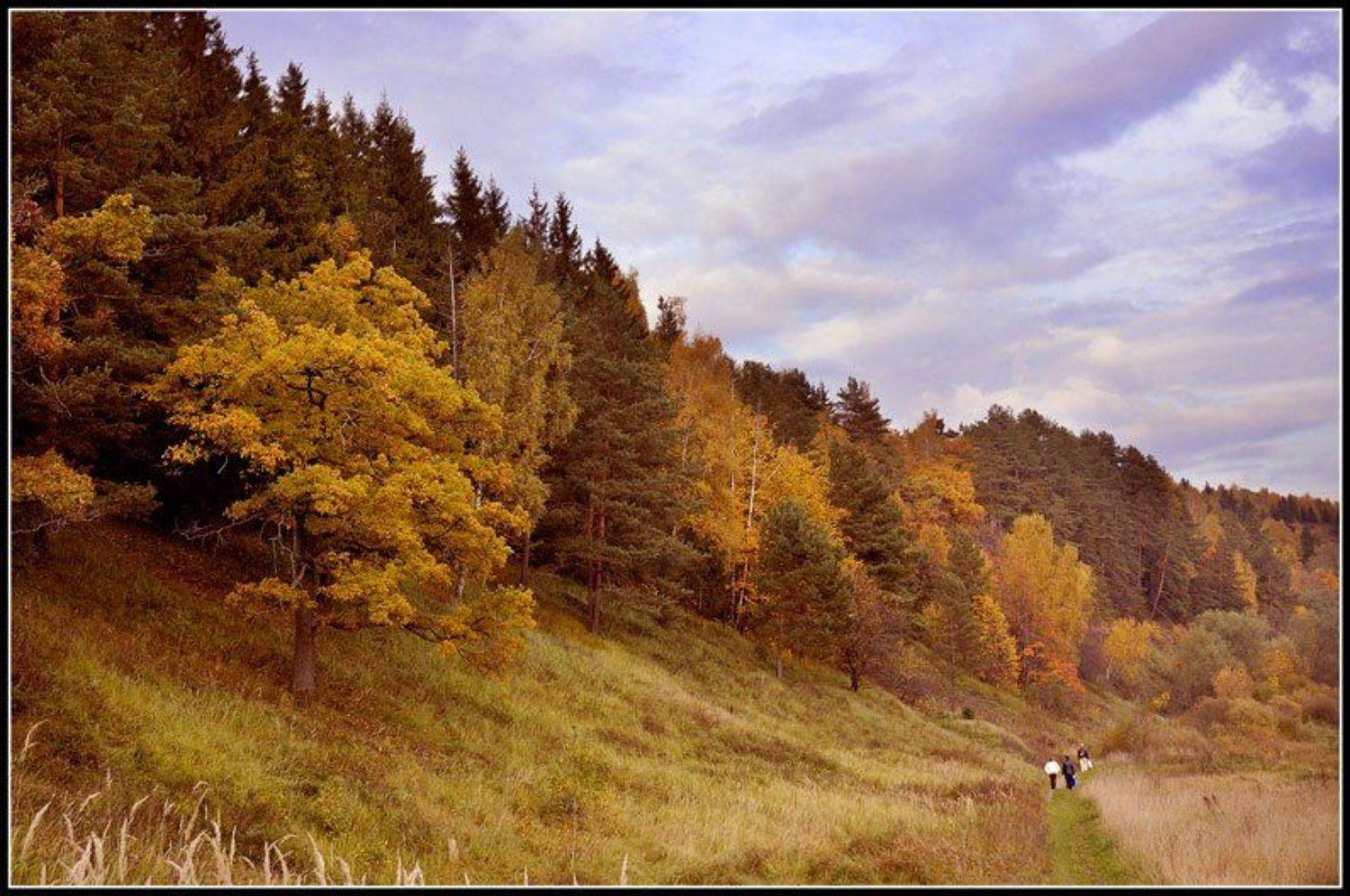 осень подмосковье, Капустин Николай