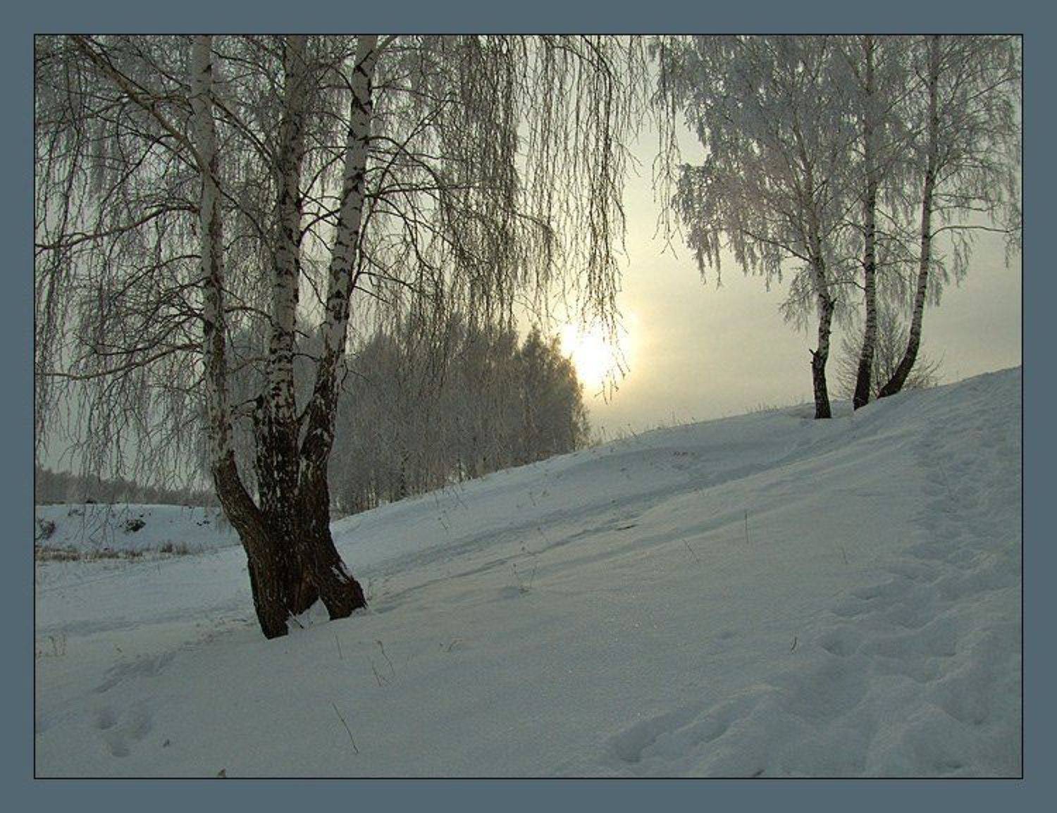 мороз, снег, солнце, Георгий