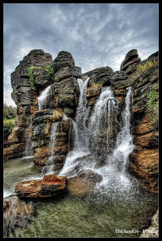 фото, Vital