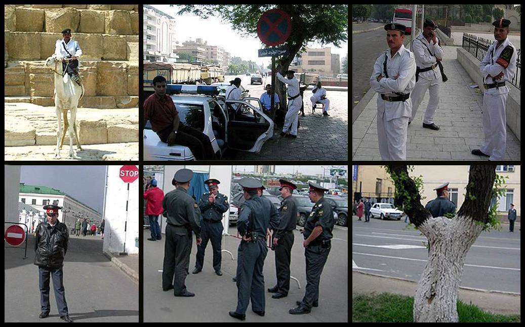 полиция, милиция, египет, россия., senjor
