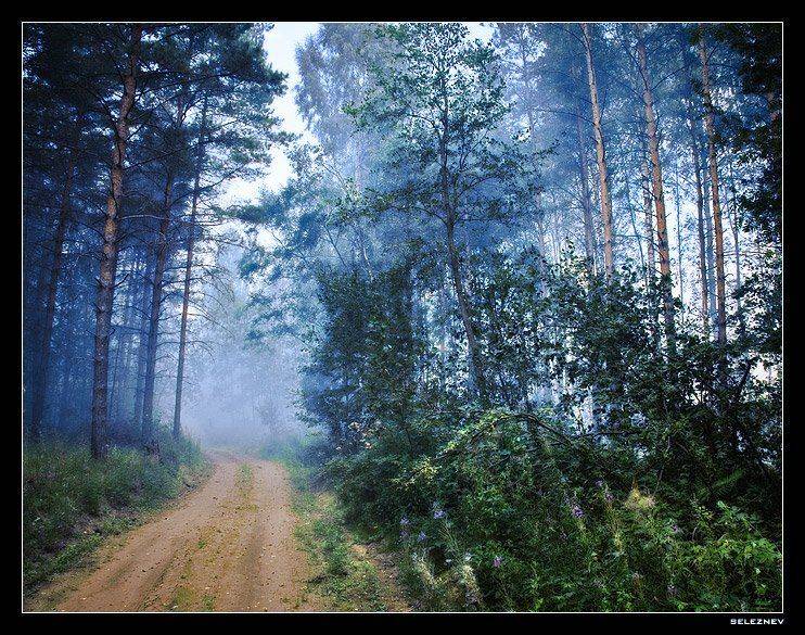 дым, туман, куча-мала, seleznev