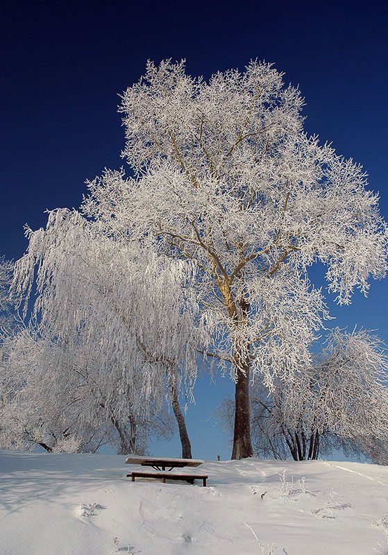 Сказка фото превью