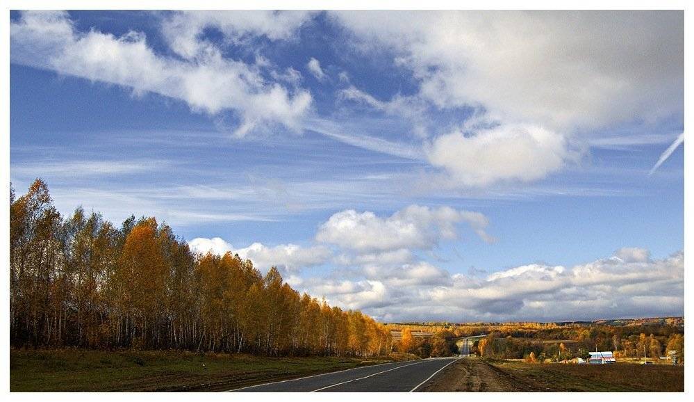 , Самолинов Андрей