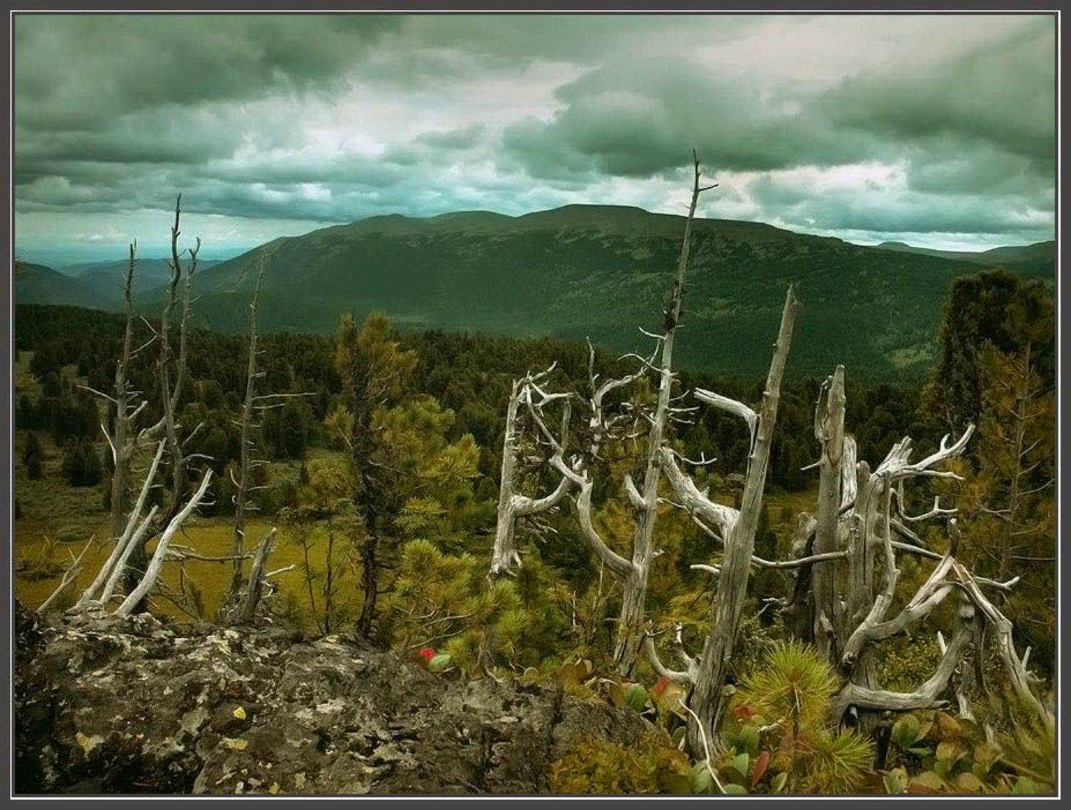 горы, камни, Алексей