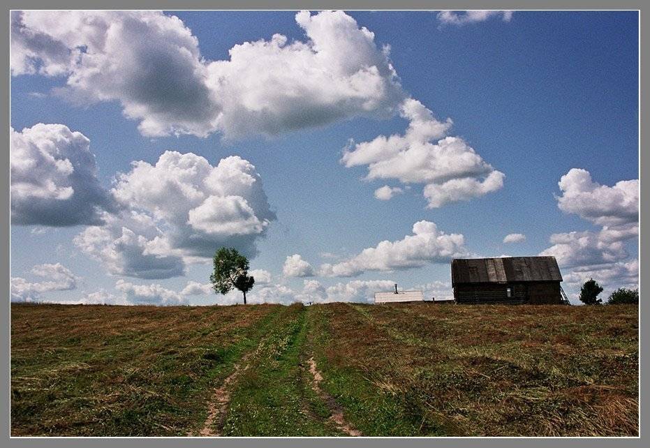 , Лунный Ежик