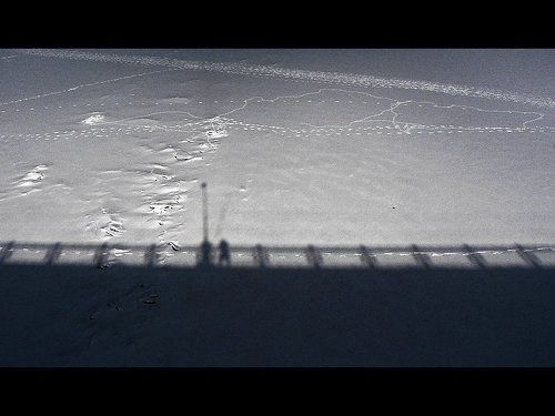 on the moon