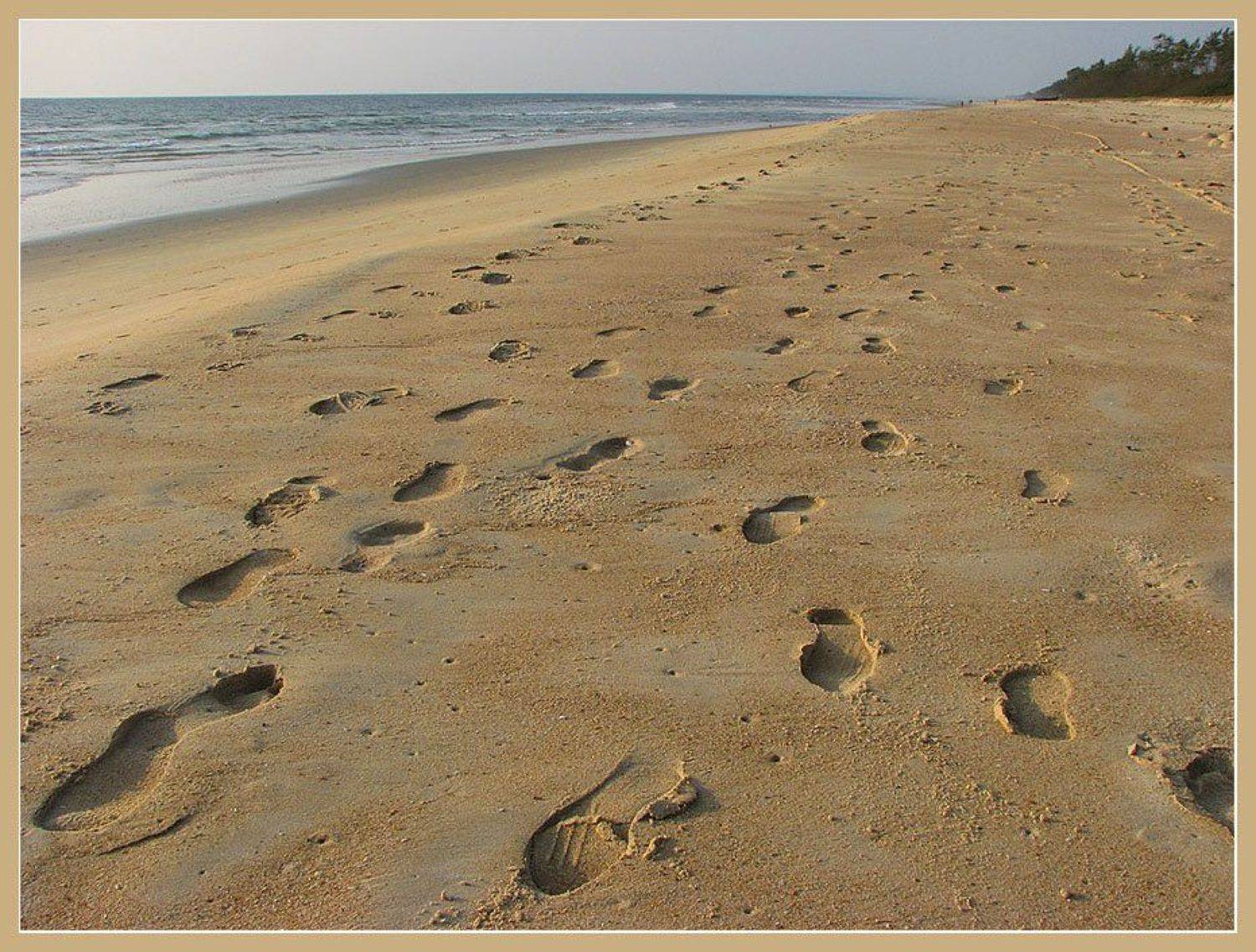 , Лунный Ежик