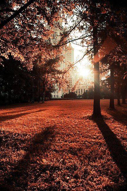 мгу, лето, закат, Денис Клюев, Денис Клюев