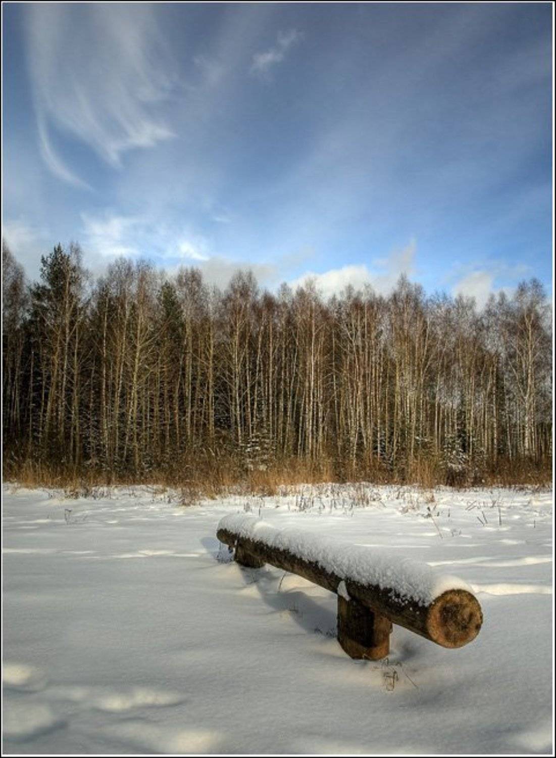 бревно, скамья, лес, мороз, зима, Alex Sheptl