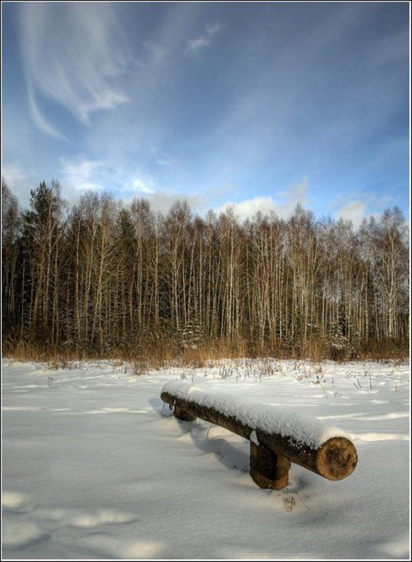 бревно, скамья, лес, мороз, зима Гуляя зимним вечерком фото превью