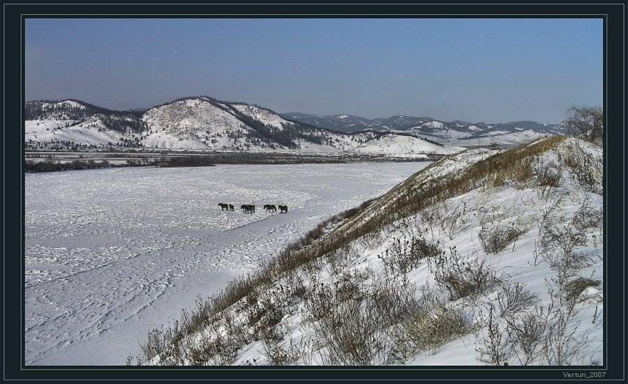 река,бурятия,селенга,лед,снег,горы,лошади,кони, Игорь Глушко