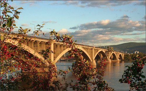 Зреющие плоды...