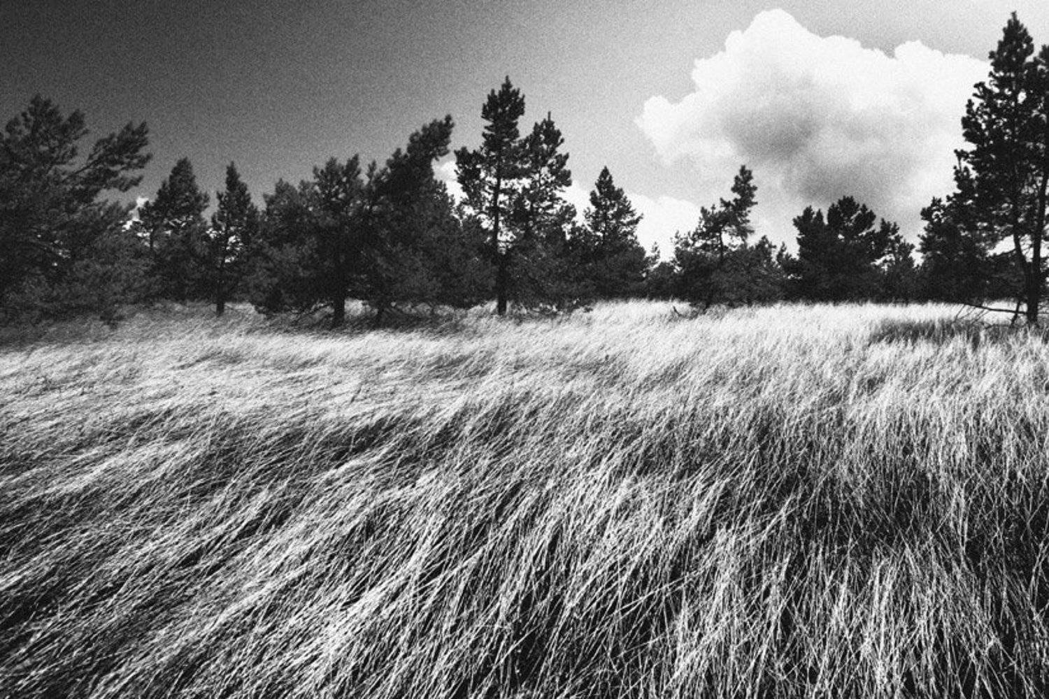 Крым, podakuni, Podakuni