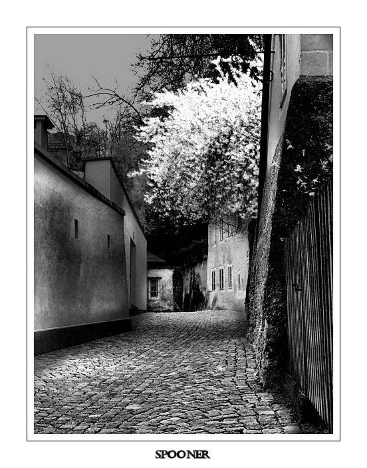 Переулки, spooner