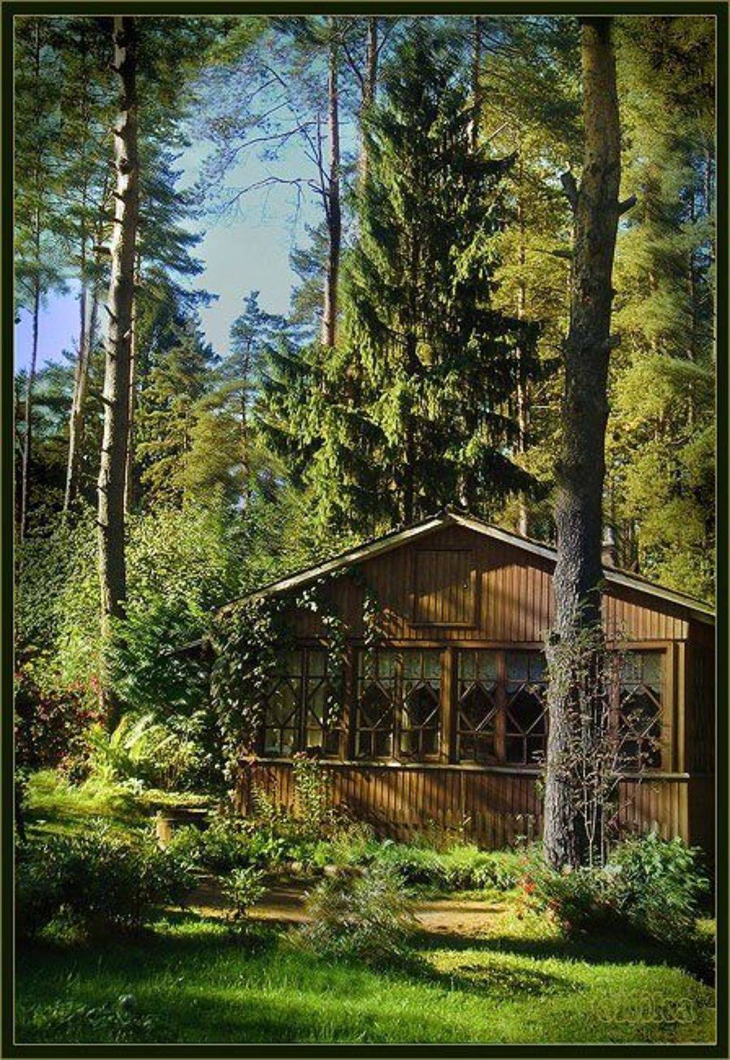 Токсово,осень,дача, ollika