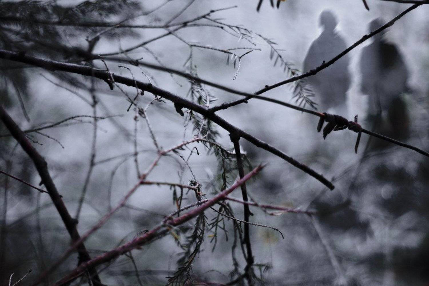 война, оставляет, следы, CyberDream