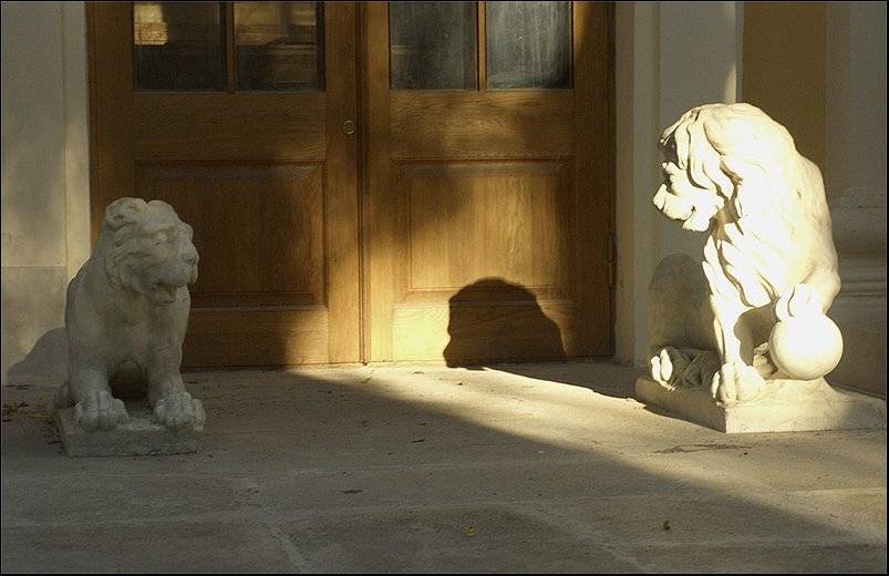 Архангельское, львы, Лунный Ежик