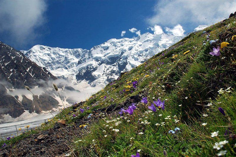 *** фото превью