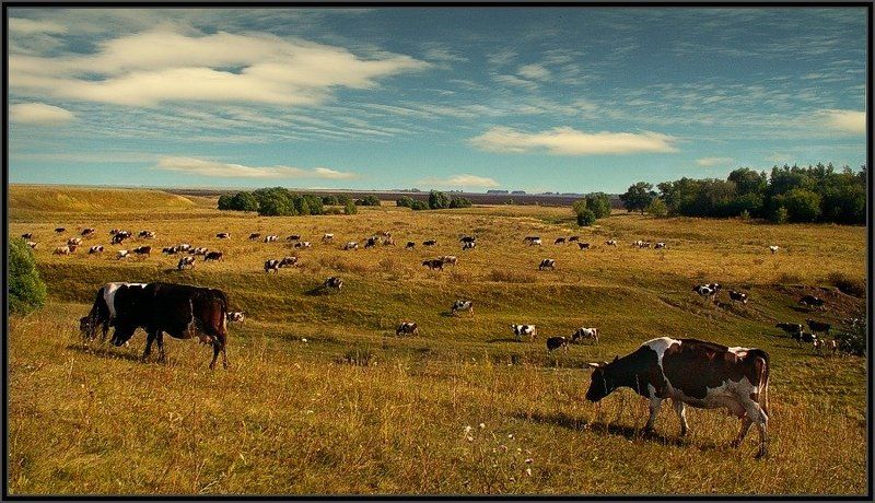 ... фото превью