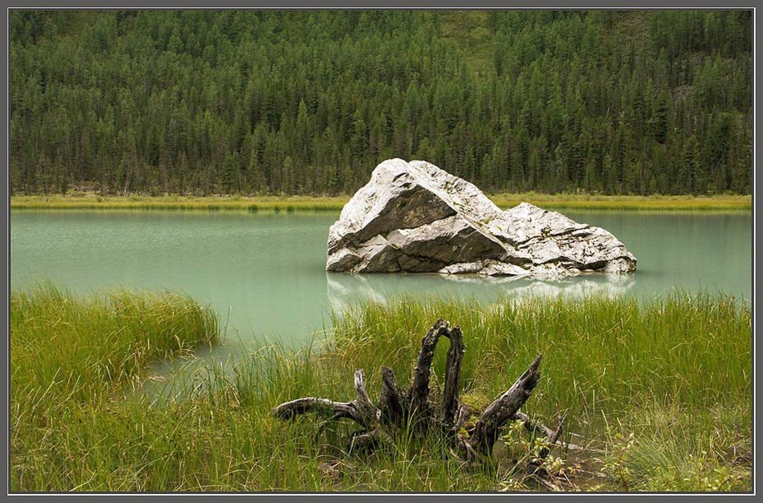 камни , горы , корни, Алексей