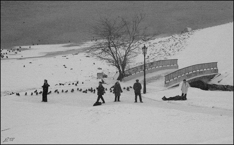 , Олеся Ласкова