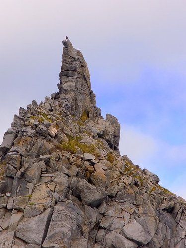 Сторожевая башня белоплечих орланов