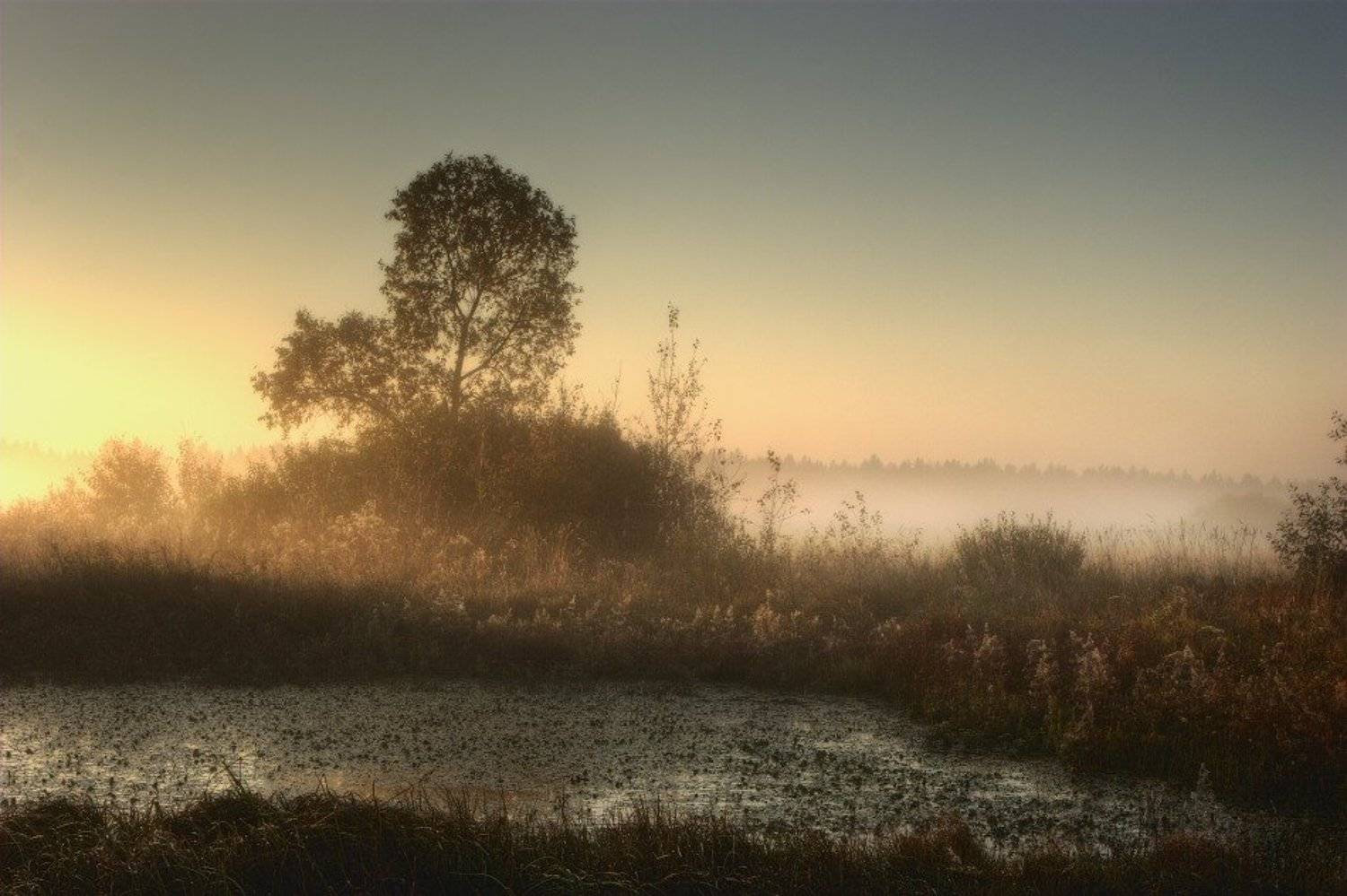 , Владимир Липецких