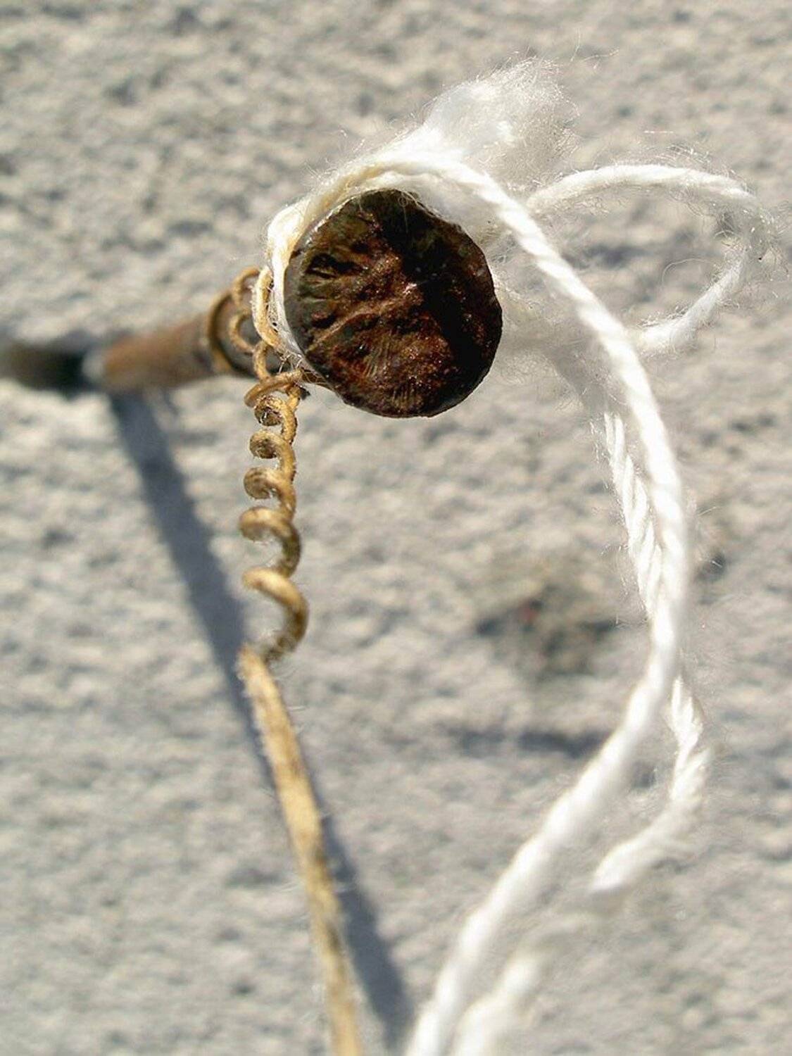 , Антон Сливкин