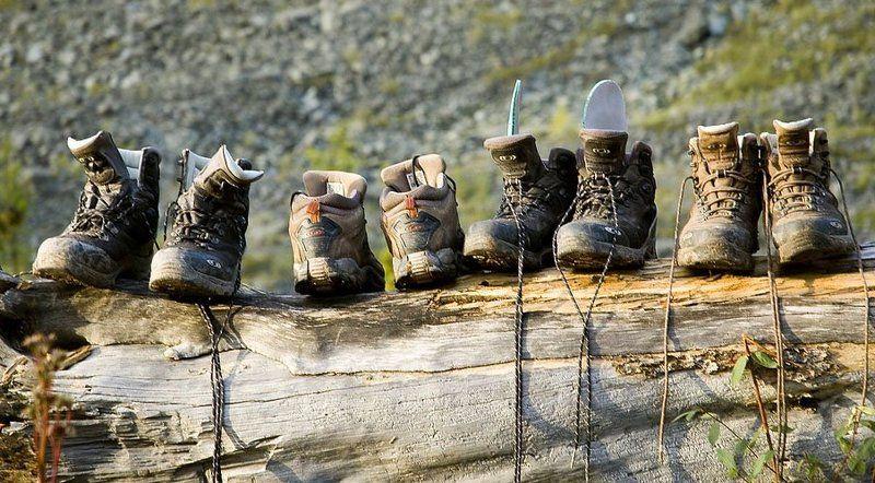 Алтай, привал, Кедровые стоянки Привал фото превью