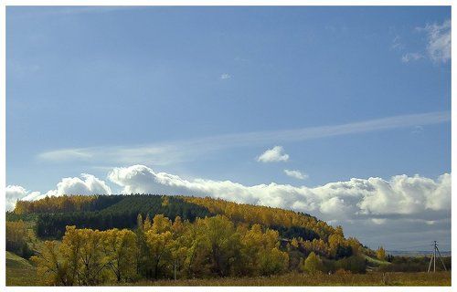 Холмы/перелески