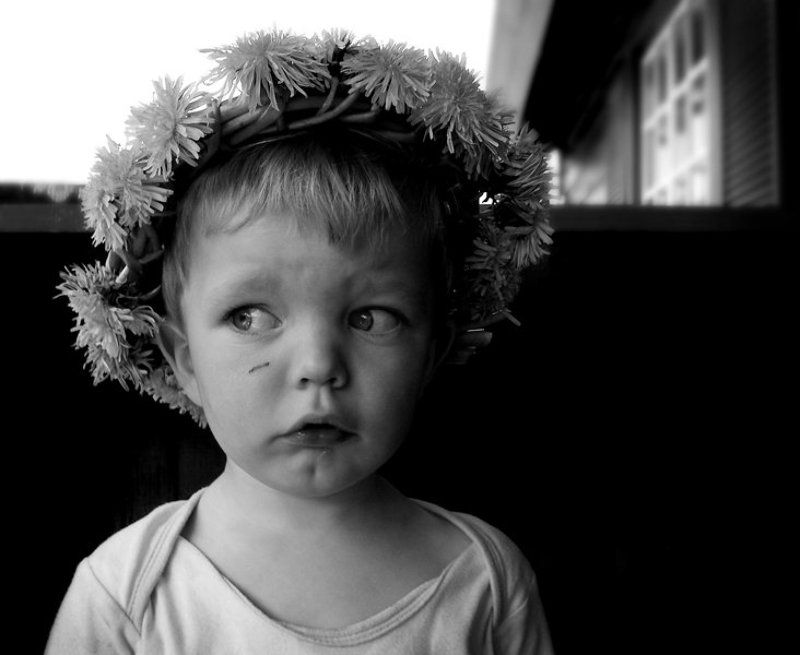 лето, мальчик, одуванчики Детские страхи фото превью