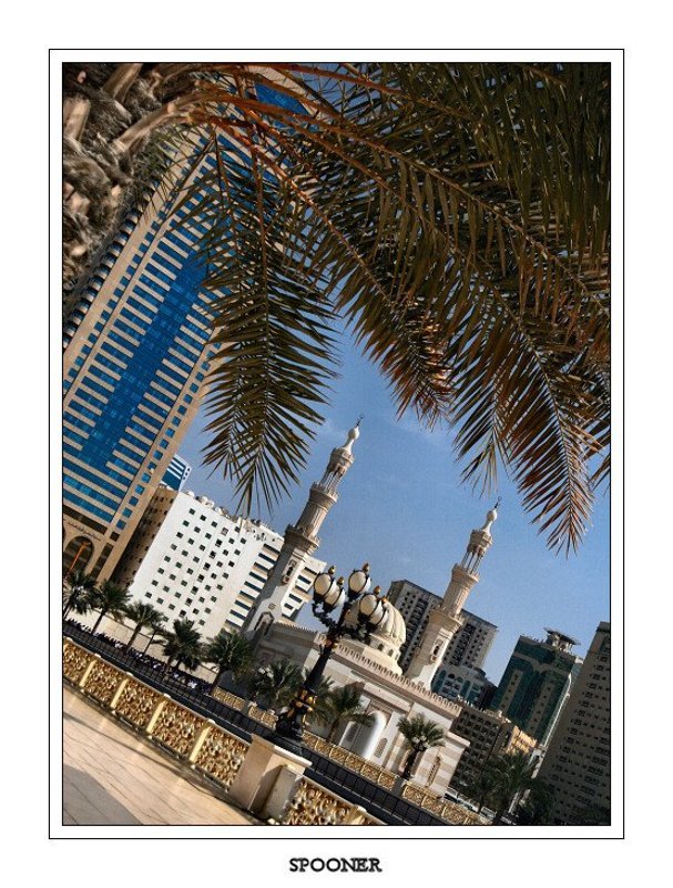 Город контрастов фото превью