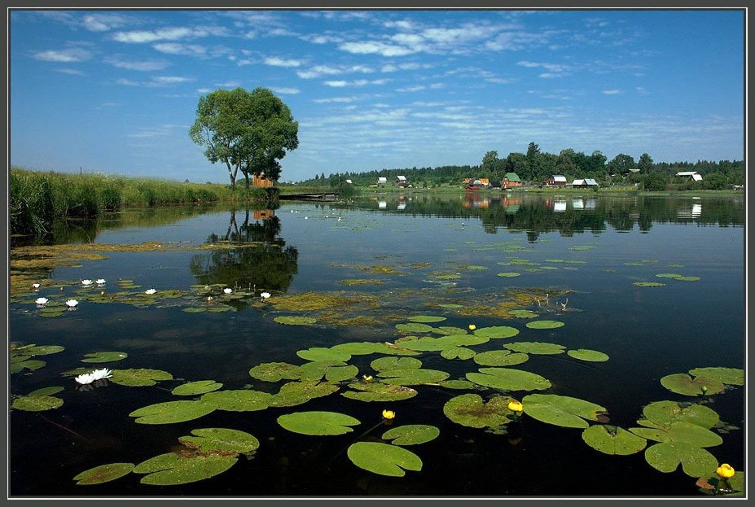 река , лето, Алексей