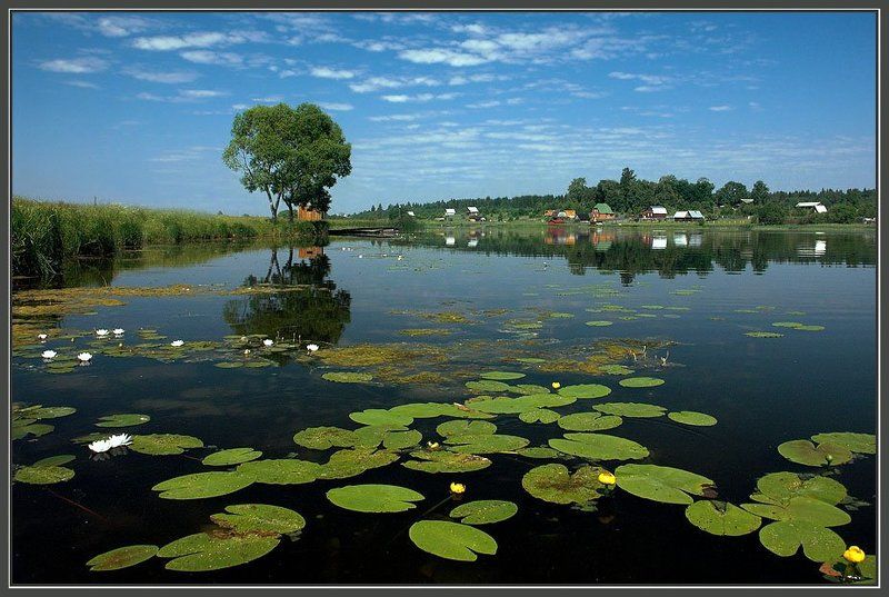 река , лето Лето в деревне фото превью