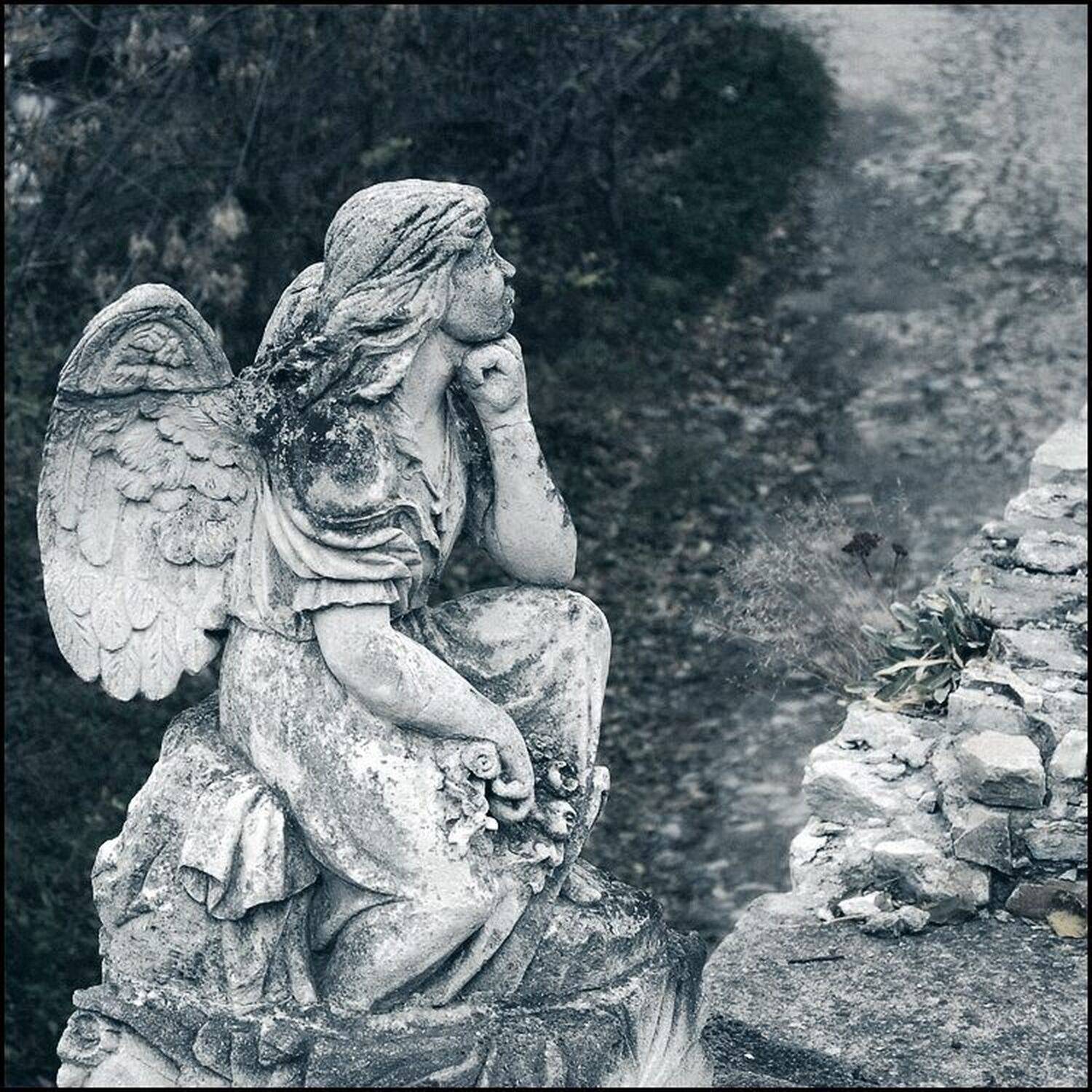 Каменец-Подольск, Berkanka