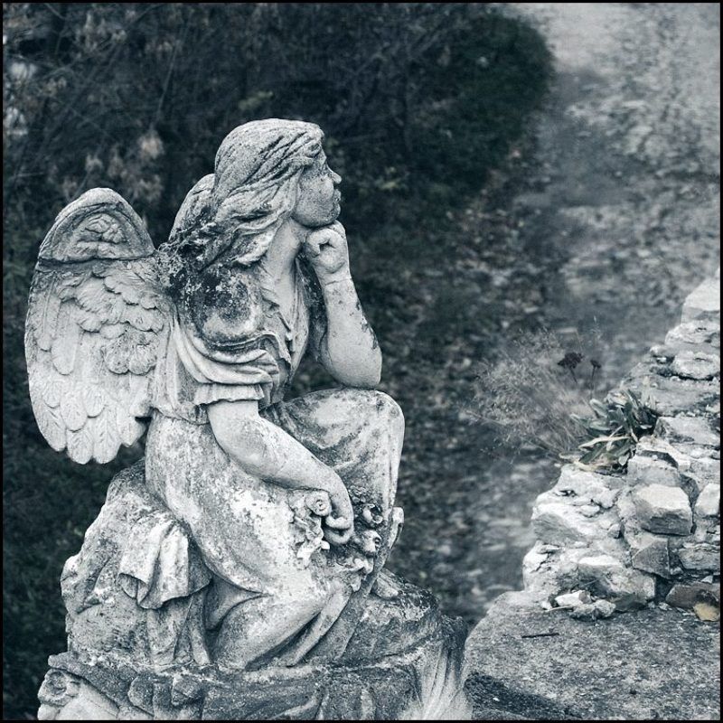 Каменец-Подольск *** фото превью