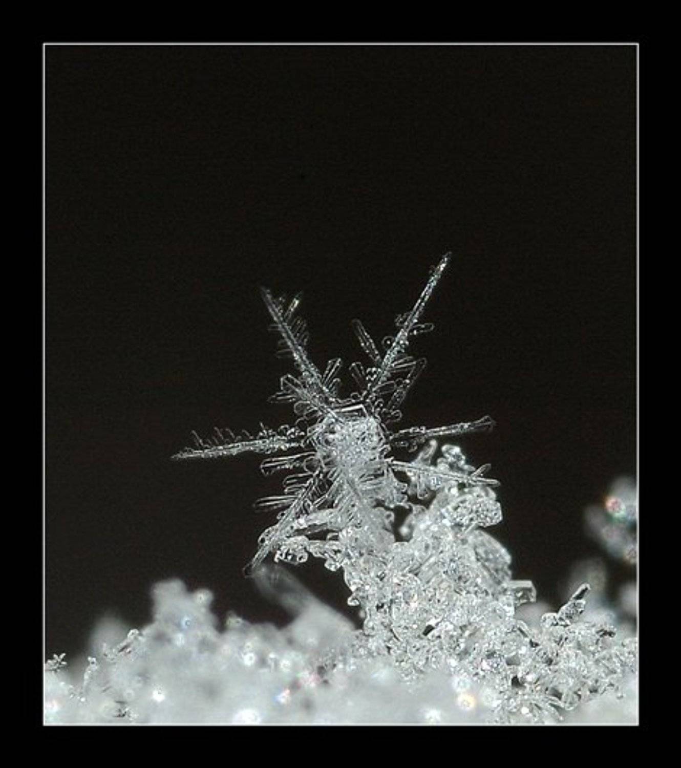 снежинка, Капустин Николай