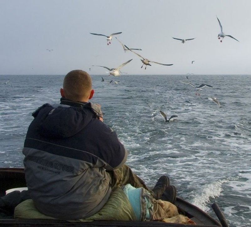 Прогулка, Завъялова Дорога домой фото превью