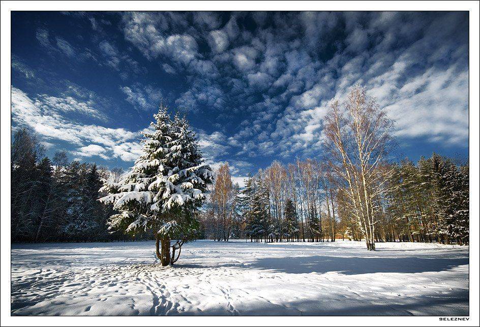 мороз, солнце, день, чудесный, seleznev