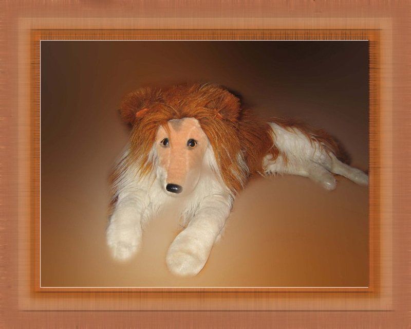 A dog,a toy. I love dogs фото превью