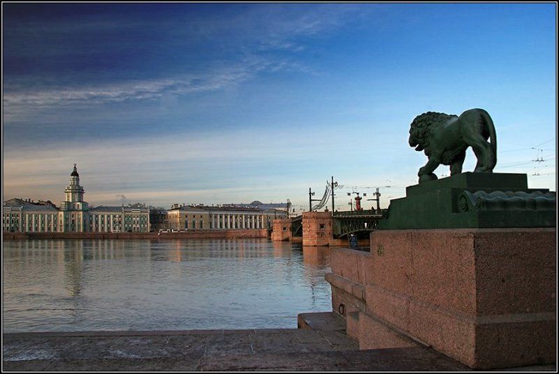 питер, петербург, город, памятник, лев, кунсткамера, мост, небо, река, нева, dyadyavasya Лев северных широт фото превью