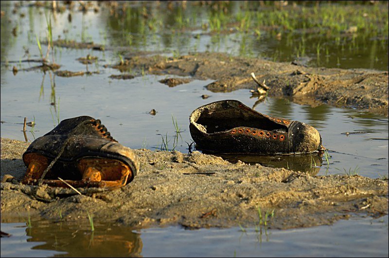 пруд, коньки, вода Каток. Был... фото превью