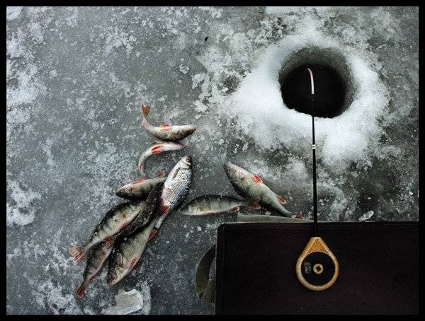 fishing, Nadia Romanova