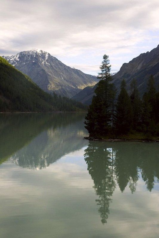 алтай, горы, Кучерлинское Задремалось фото превью