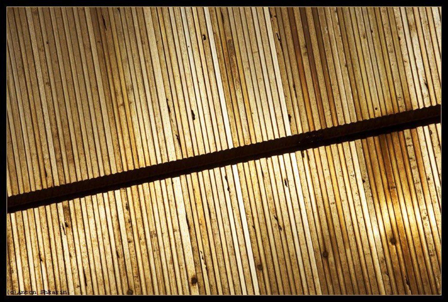 , Антон Шкарин